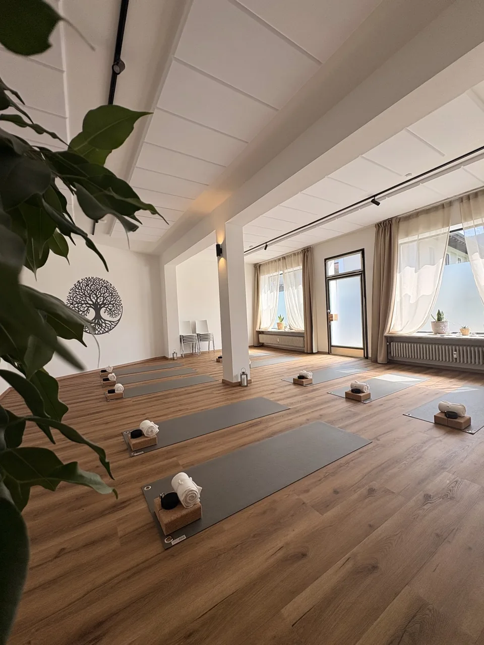 Studio mit vorbereiteten Yogamatten